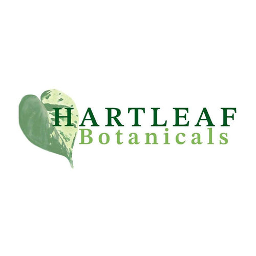 Hartleaf Botanicals